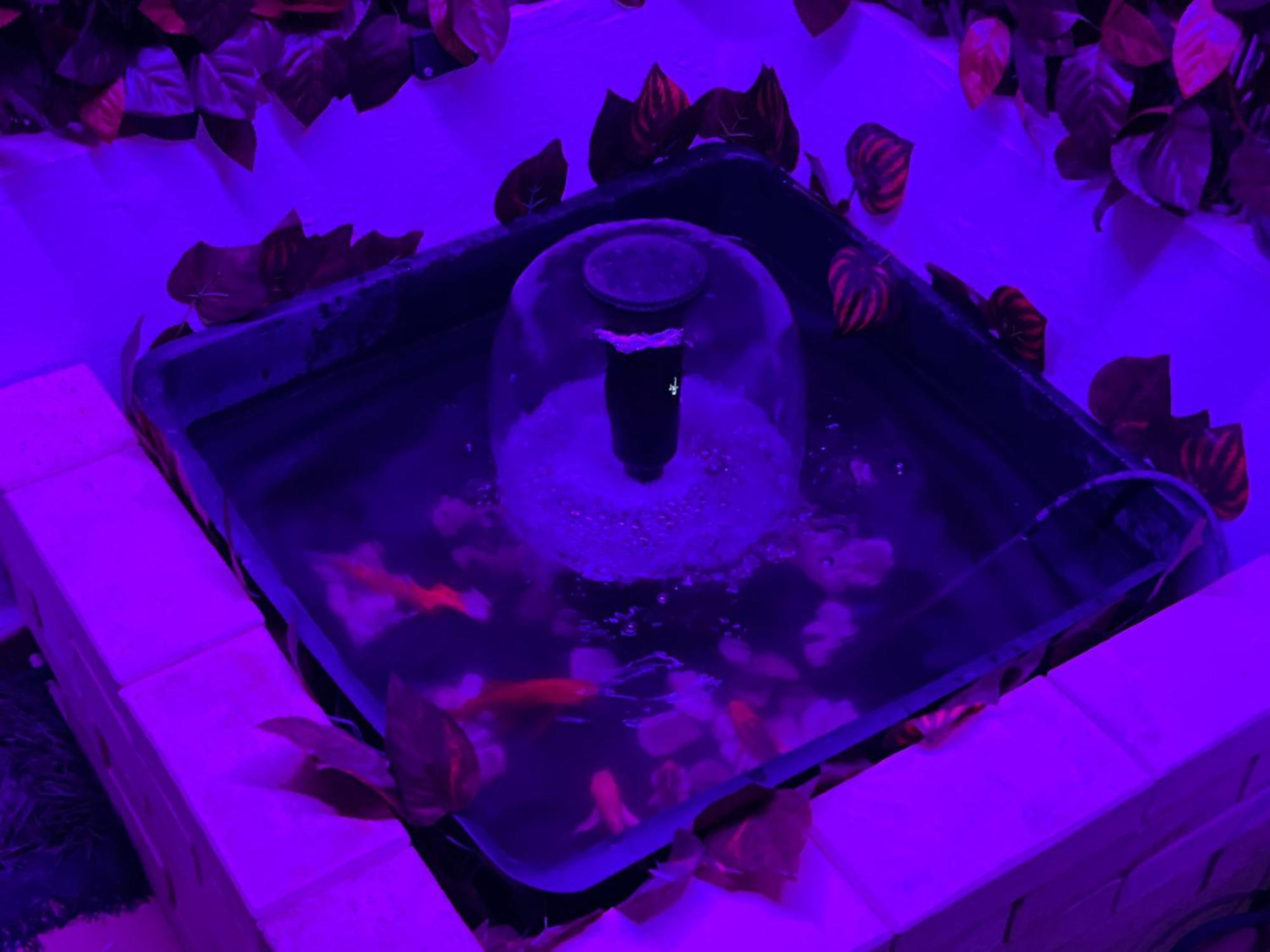 Atico Rilque, Apartamentos Independientes Con Jacuzzi Privado Y Terraza En ロンダ エクステリア 写真